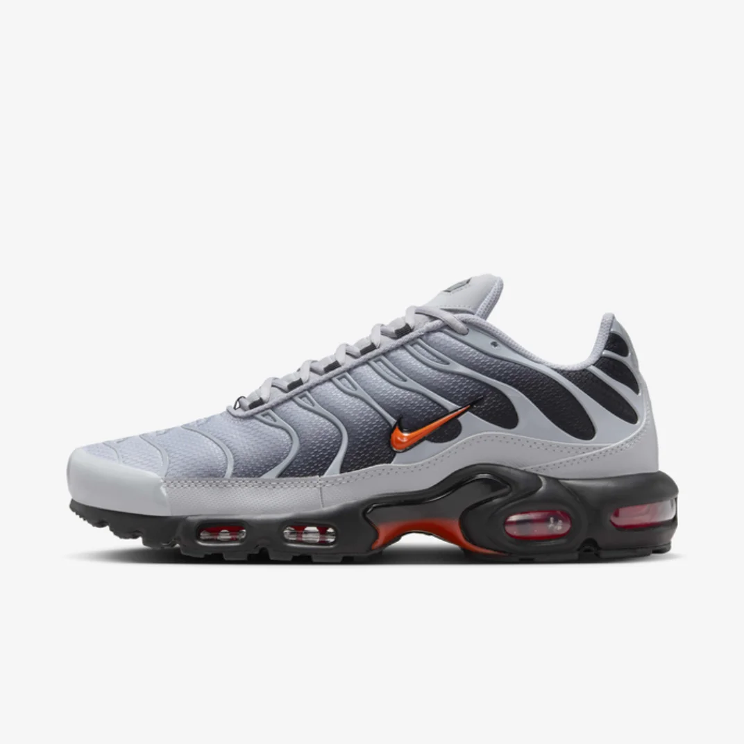 Nike Air Max TN (Wolf Grey)